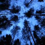 Hoe werkt een thuisaccu