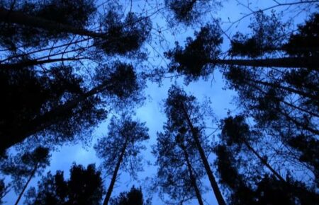 Hoe werkt een thuisaccu