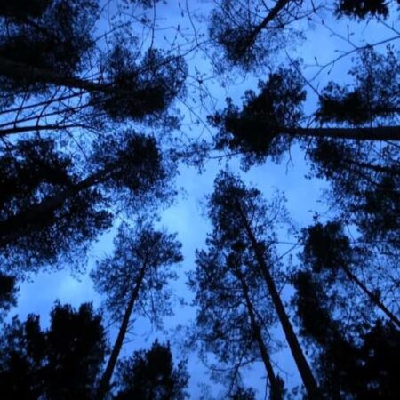 Hoe werkt een thuisaccu