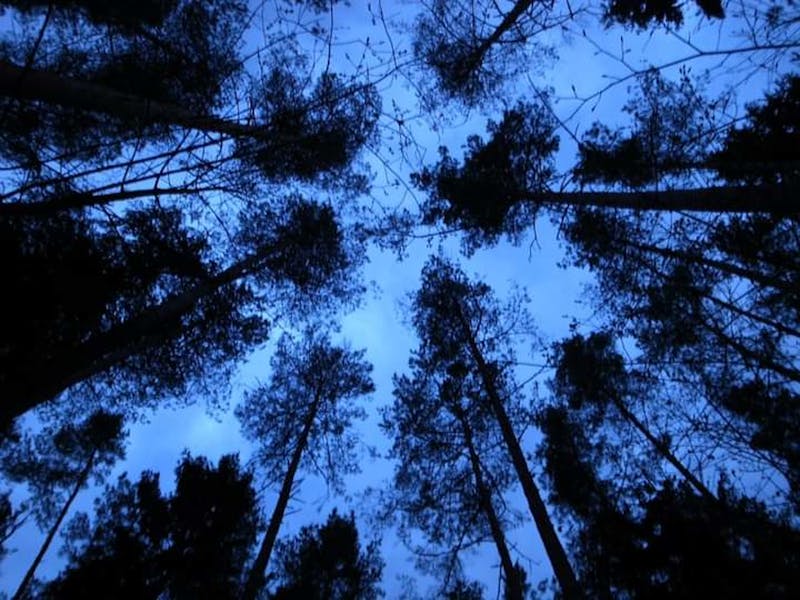 Hoe werkt een thuisaccu